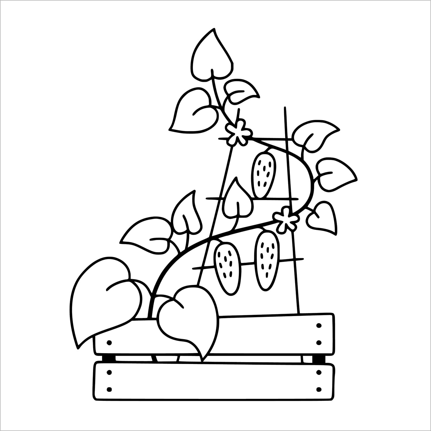 garden blooms bold and easy coloring book large print colouring pages spiral bound berries on a vine