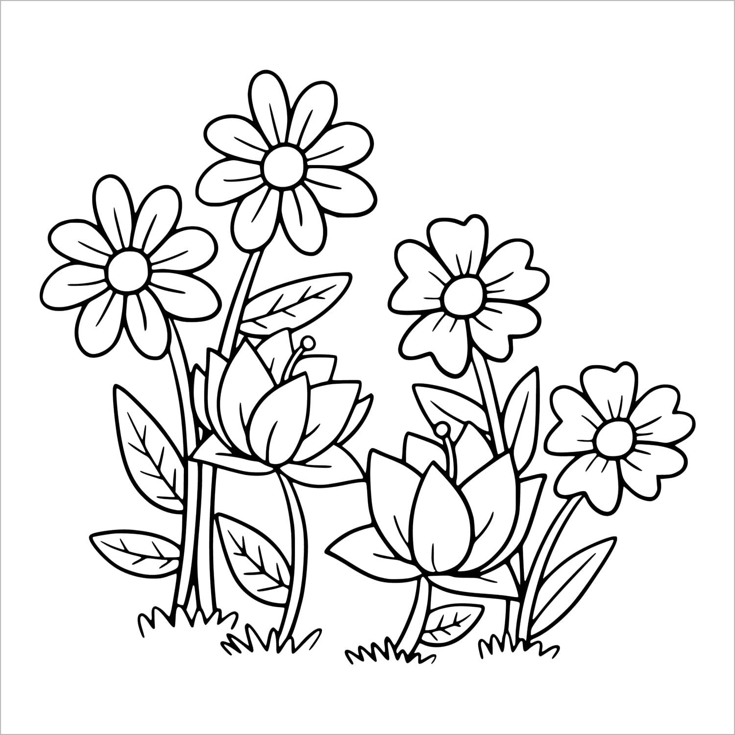 garden blooms bold and easy coloring book large print colouring pages spiral bound wild flowers