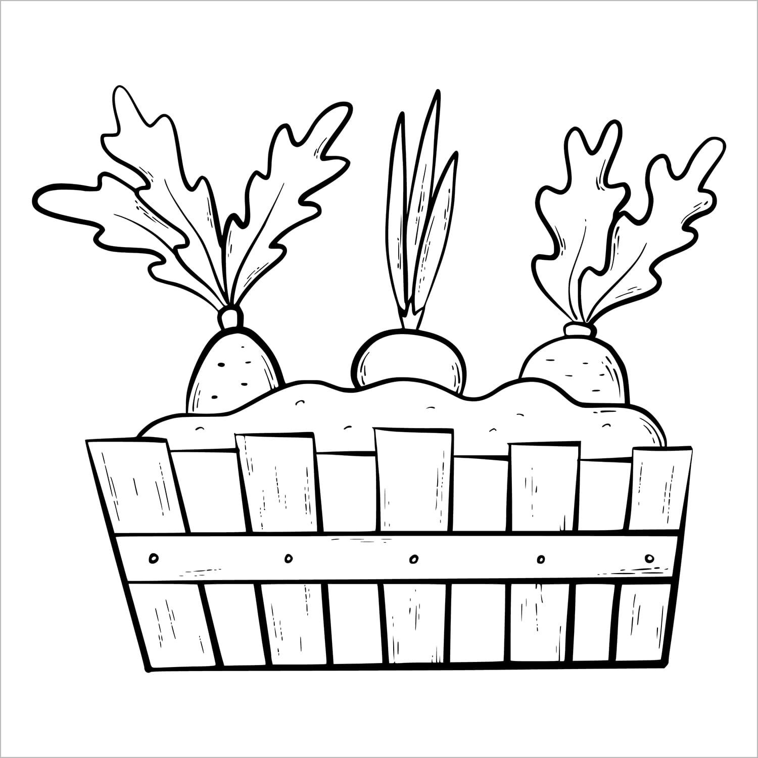 garden blooms bold and easy coloring book large print colouring pages spiral bound box of vegetables