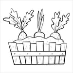 garden blooms bold and easy coloring book large print colouring pages spiral bound box of vegetables