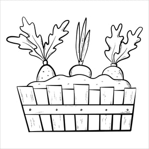 garden blooms bold and easy coloring book large print colouring pages spiral bound box of vegetables